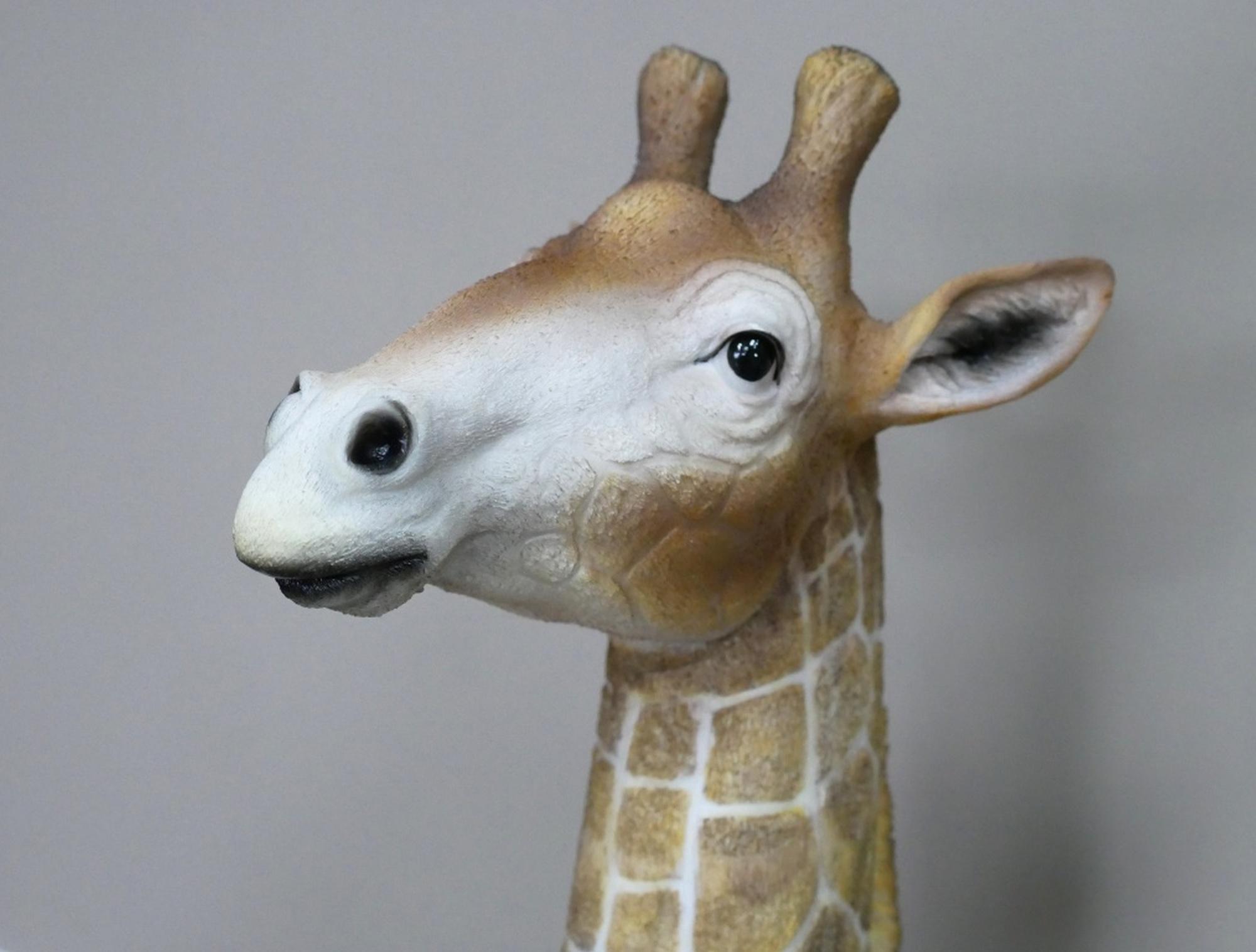 Product photograph of Giraffe from Choice Furniture Superstore.