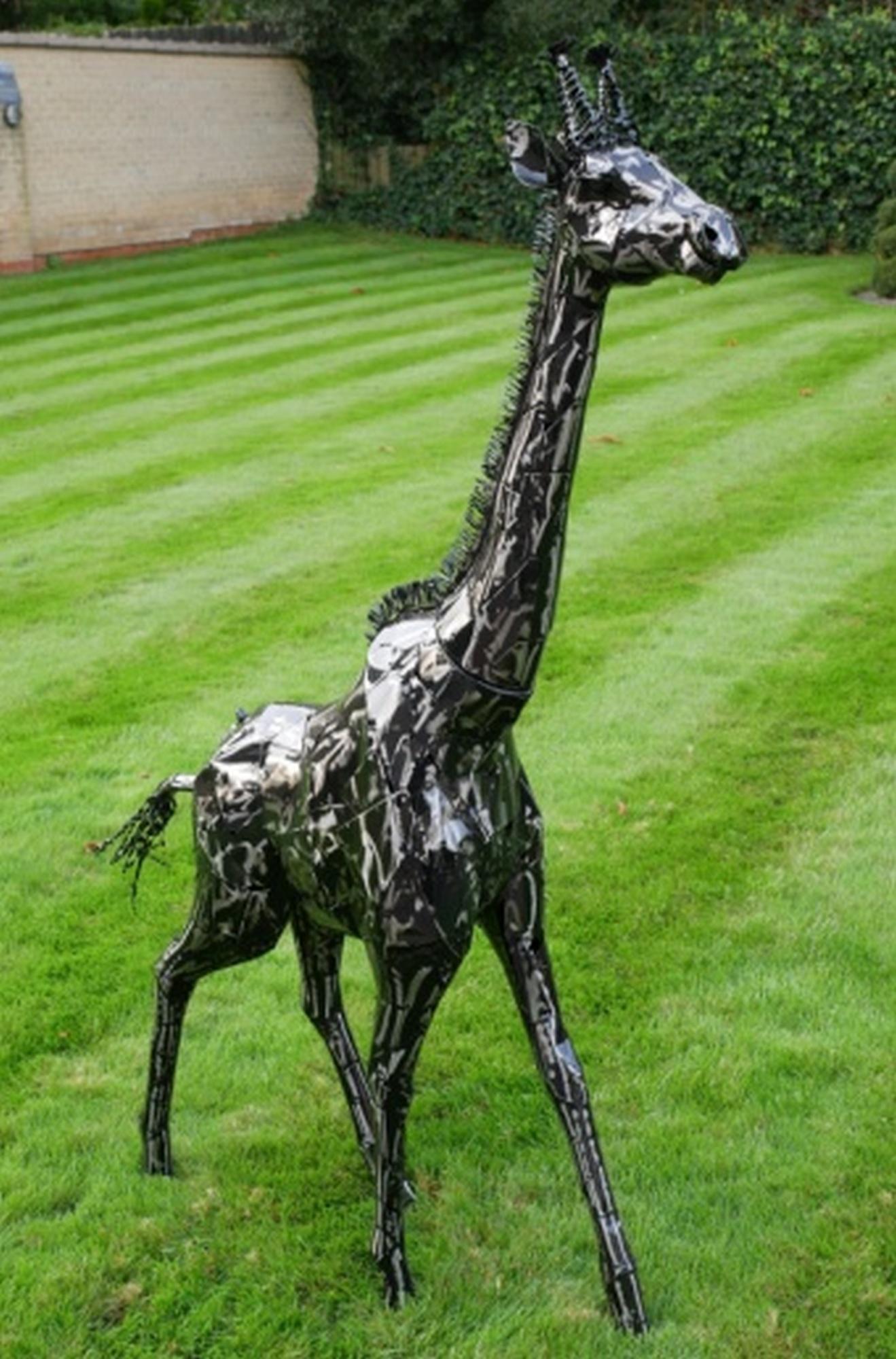 Product photograph of Black Giraffe from Choice Furniture Superstore.