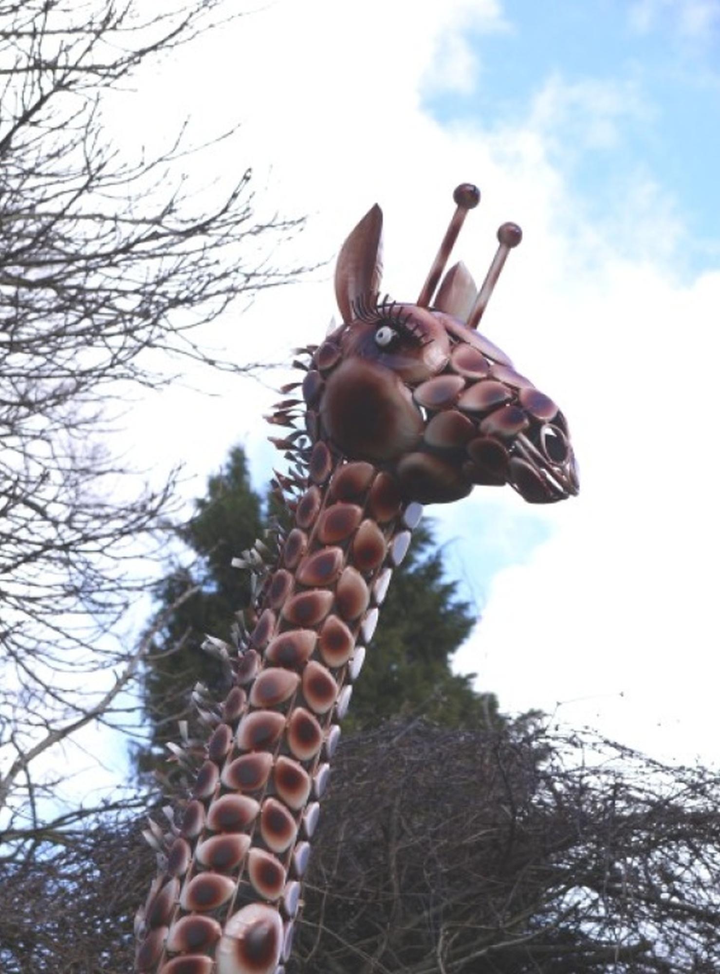 Product photograph of Giraffe Large from Choice Furniture Superstore.