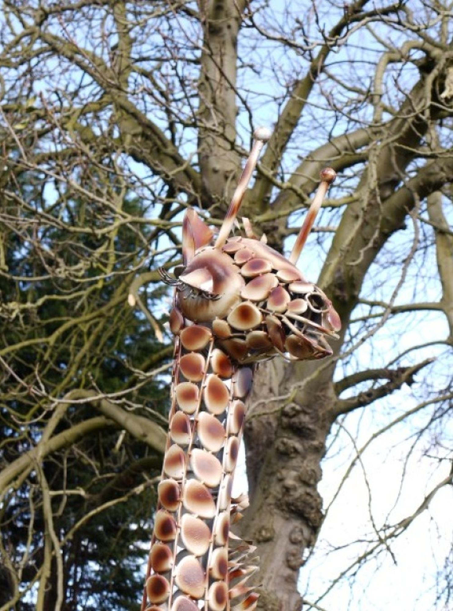 Product photograph of Giraffe Medium from Choice Furniture Superstore.