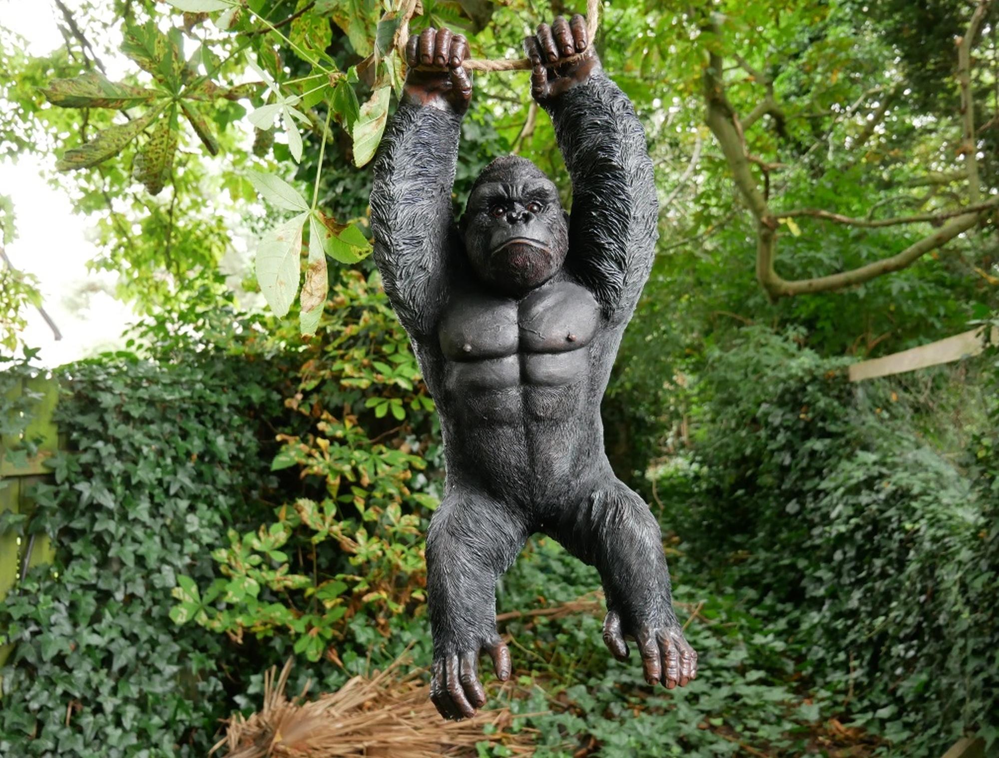 Product photograph of Hanging Gorilla Set Of 2 from Choice Furniture Superstore.