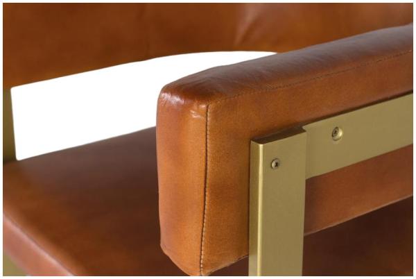 Product photograph of Delisle Golden And Brown Leather Armchair from Choice Furniture Superstore.